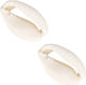 Natural Cowrie Shell