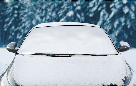 ArteLibre Protecție Exterioară Parbriz Auto 160x95 cm