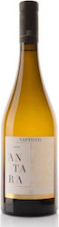 Vaptistis Winery Antara Weiß Trocken 750ml Vaptistis Winery Antara Weiß Trocken 750ml