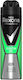 Rexona Men Quantum Dry Deodorant Spray