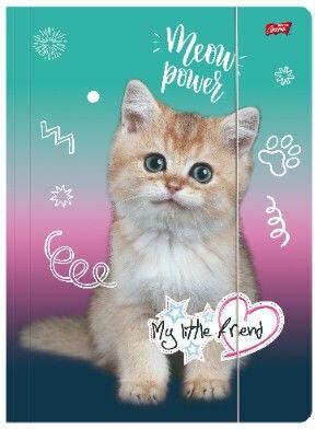 Папка A4 с ластик My Little Friend Cat Kitty Party Unipap Majewski