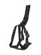 Ham de siguranță auto Flamingo Baro Negru L 53-86cm
