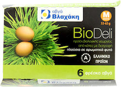 Αυγά Φρέσκα Βιολογικά Medium BioDeli 6 τεμ Βλαχάκη (53-63g)