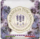 Nesti Dante Nesti Dante Marsiglia Toscano Lavanda Toscana Natural Toilet Soap 200g