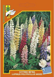 Geniki Fytotechniki Athinon Семена Lupine