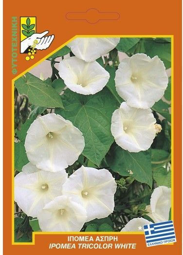 Geniki Fytotechniki Athinon Семена Ipomoea