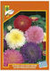 Geniki Fytotechniki Athinon Samen Sonnenblume D...