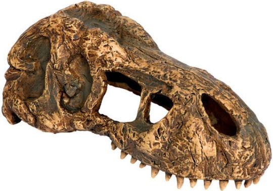 Exo Terra Safe Hideout Dinosaur Skull Rex Small 7x15.1x6.2cm Exo Terra 2068550
