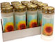 Bolsius Long-lasting Candle 70 Hours Lid Sunflower Box 12pcs