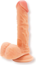 Realistisches Dildo mit Hoden und Saugnapf Fleisch 16.8cm