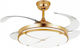 Ventilator De Tavan 106cm Cu Lentile De Mărire Transparent / Auriu