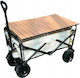 Beach Terrain Cart Tourist Shopping Transport 150kg Table 88cm
