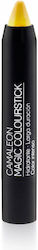 Camaleon Pencil Κραγιόν Camaleon Pencil Κραγιόν