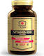 Immune-Labs Vitamin D3 Βιταμίνη για Ενίσχυση του Ανοσοποιητικού & την Υγεία των Οστών 4000iu 250 κάψουλες