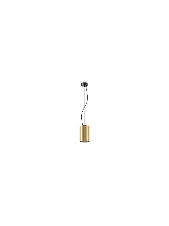 Maytoni Pendant Light Gold