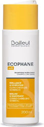 Bailleul Laboratoires Shampoos 200ml