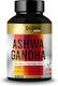 GoldTouch Nutrition Ashwagandha 620мг 60 капси