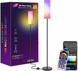 LED Lampă de Podea Î165cm. Transparent