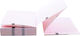 Welch Allyn CP 50 Cardiograph Paper Pack 114mm X 70mm X 250 Sheets Red