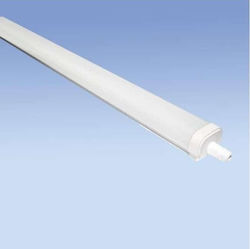 LED Tri-proof Light 1.5m 45W 5700K IP65 Water & Dust Resistant LED Tri-proof Light 1.5m 45W 5700K IP65 Water & Dust Resistant