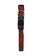 Zolux Collar Red 16mm