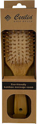 Beauty Salon Hair Brush