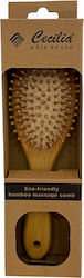 Beauty Salon Hair Brush Beauty Salon Hair Brush