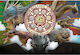Puzzle pentru Copii In Action Trefl