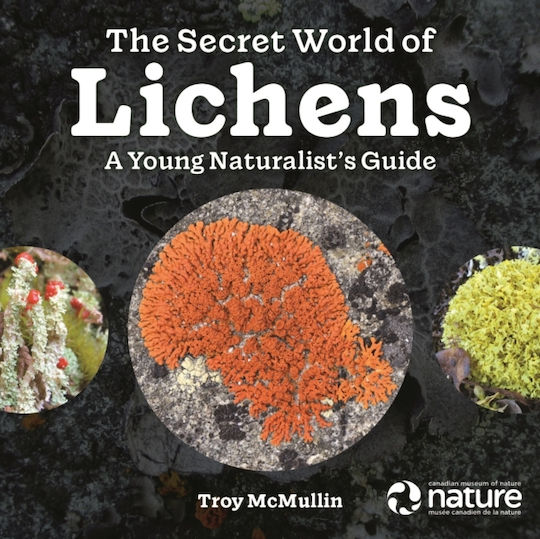 Secret World Of Lichens - Firefly Books Ltd - Paperback / Softback