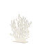 Decorative White Wooden Coral Base 50x7x51cm 157.003.0097.02