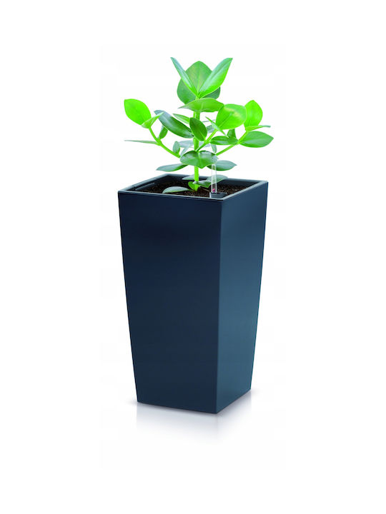 Prosperplast Urbi Topf Charcoal