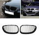Best-Ka Декоративна маска за кола BMW E60 / M5 / Ред 5 / E61