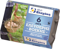 Βλαχάκη Αυγά Ελευθέρας Βοσκής 320gr