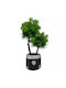Copac Bonsai Artificial cu Frunziș Dens