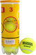 Tns Tennis Balls 3pcs