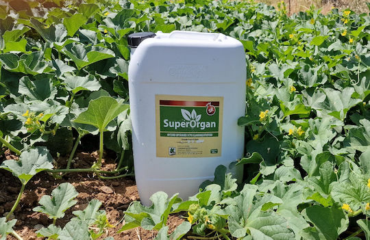 Superorgan Bio Flüssig Dünger Chlor 5lt