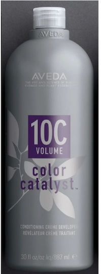 Aveda Conditioner Color Maintenance for Coloured Hair 887ml