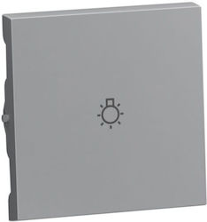 Lamp Switch Plate Aluminium Seano 765213 Legran...