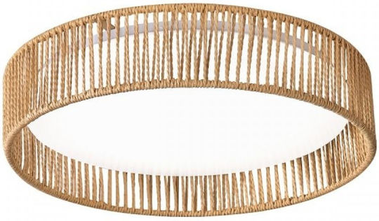 Spot Light Ceiling Mount Light with Integrated LED