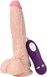Shequ Holy Dragon Flesh Shequ Holy Dragon Flesh