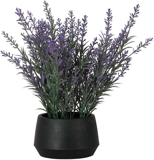 Λεβαντα Μαυρη Γλαστρα D12cm H28cm Συνθετικο