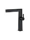 Inter Ceramic Mixing Sink Faucet Black