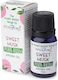Süßer Moschus 10ml Stamford's Premium