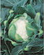 Geniki Fytotechniki Athinon Seeds Cauliflower H...