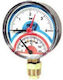 Watts Vertical Metal Thermomanometer Ø80 6bar