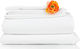 Hotel Sheet White 200t Cotton 280x300