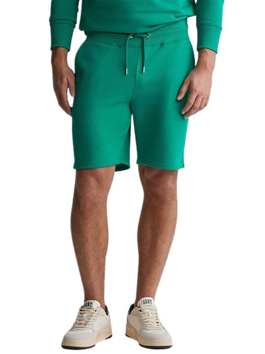 Gant Bermudă de Bărbați Verde