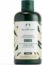 The Body Shop Ingwer Haarspülung 250ml The Body Shop Ingwer Haarspülung 250ml