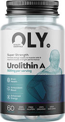 Oly Уролитин A 500 mg 60 Капсули