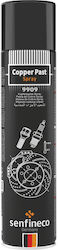 Senfineco Λιπαντικό Σπρέι 400ml WTR9909-11369